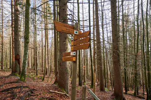 Gemeinde Sankt_Oswald-Riedlhütte Landkreis Freyung-Grafenau Großer Rachel Wegweiser (Dirschl Johann) Deutschland FRG